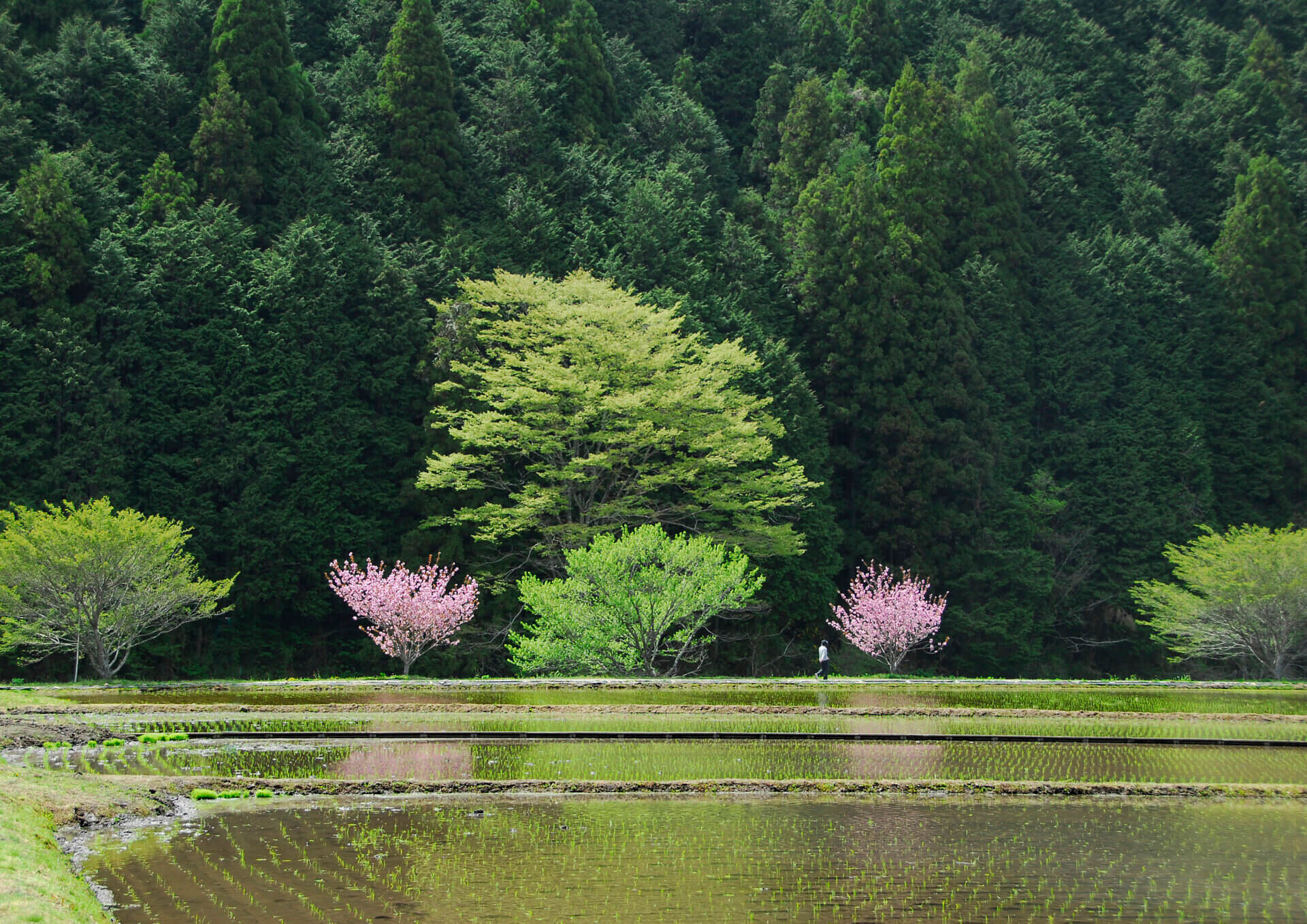 心に残る風景