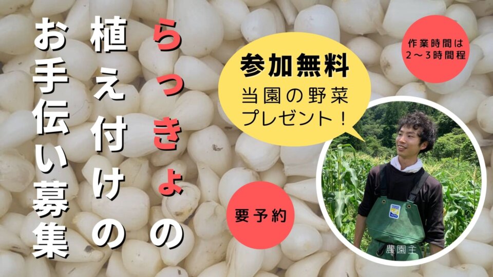 山々に囲まれた「明宝せせらぎ農園」で農家の暮らしを体験しましょう