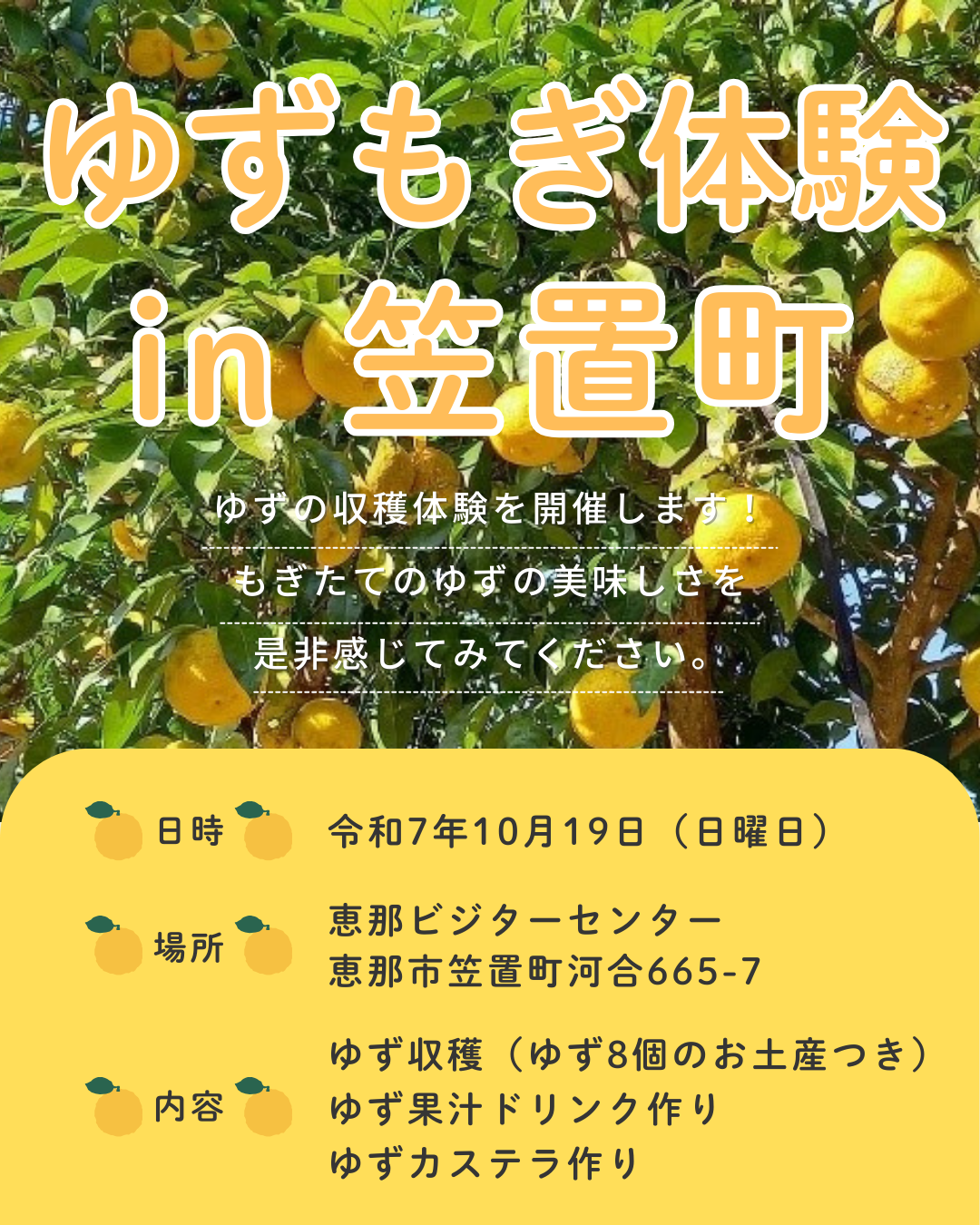 【恵那市】ゆずもぎ体験イベント in 笠置町