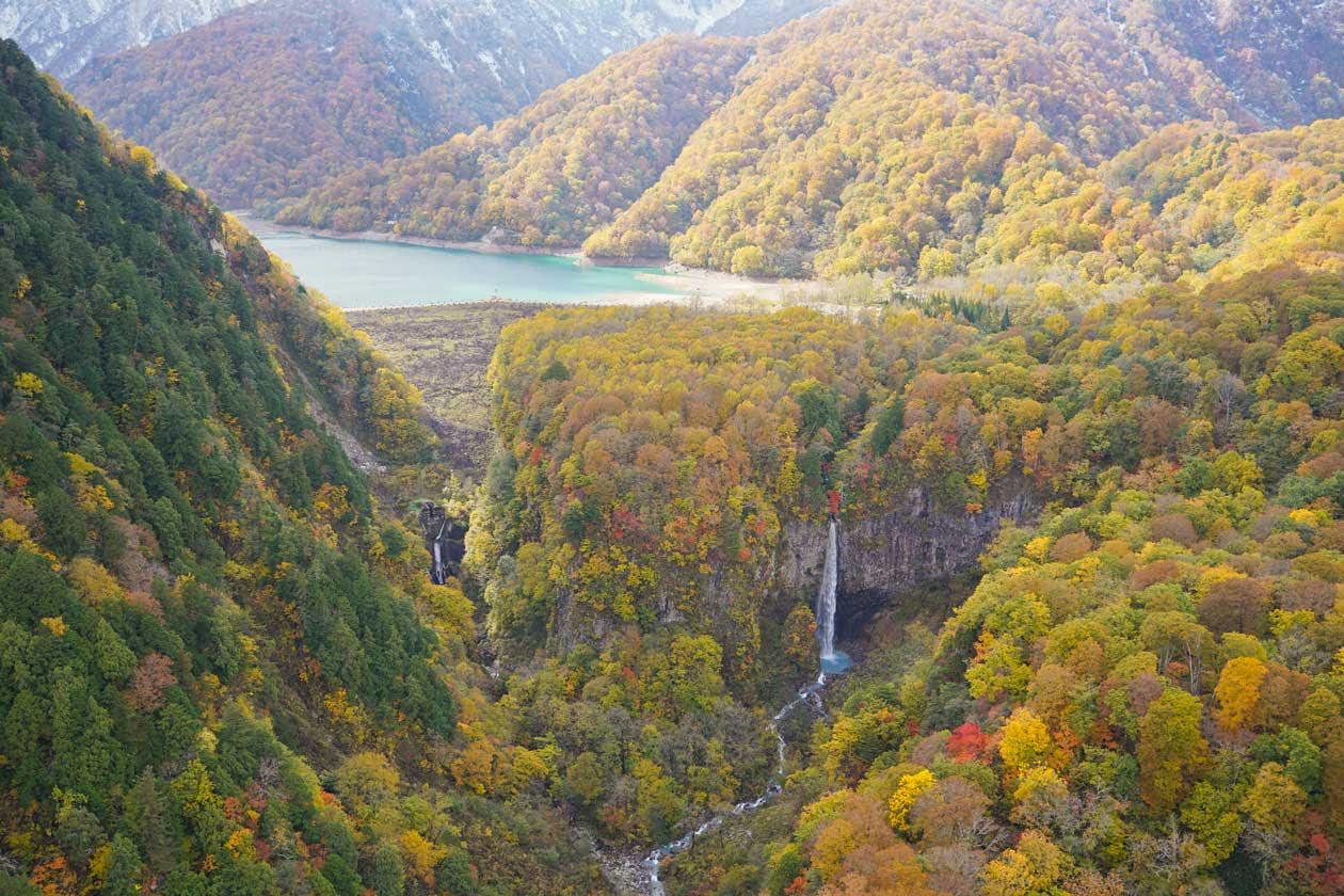 白山国立公園大白川園地