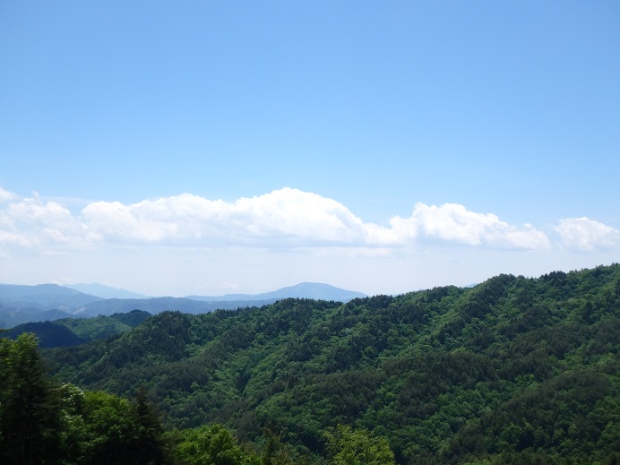 【高山市】飛騨高山 林業体感ツアー【2019.10.5】